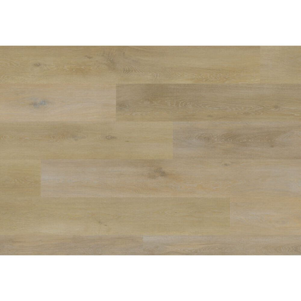 Aspecta Elemental Isocore XL Como Eik