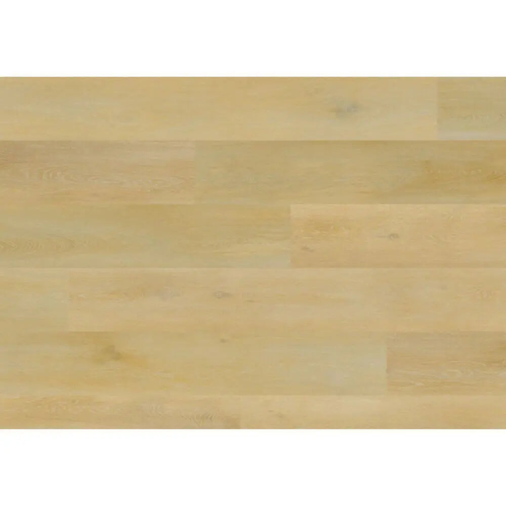 Aspecta Elemental Isocore XL Onega Eik