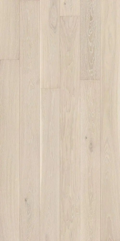 Saga Exclusive Parkett Cream Oak Saga