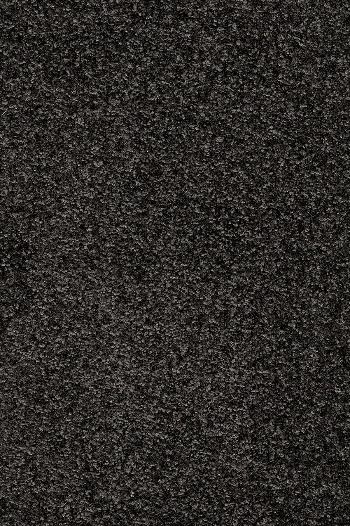 Invictus Crixcus 99 Raven
