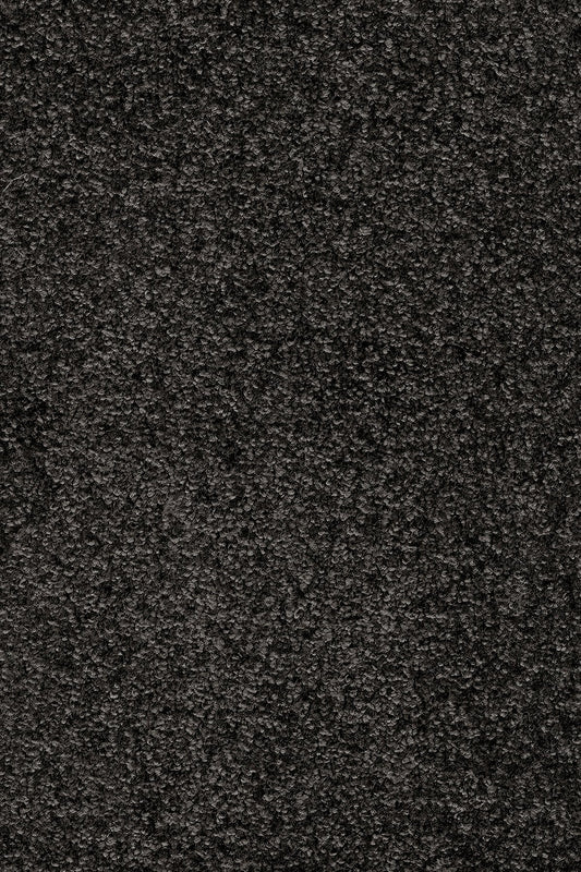 Invictus Crixcus 99 Raven